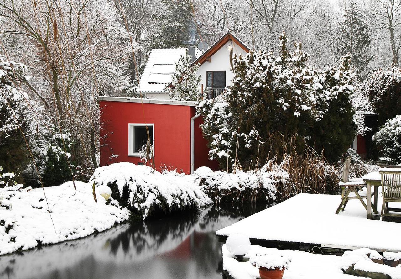 Haus Mit Kunst Zwischen Wald Und See Λειψία Εξωτερικό φωτογραφία