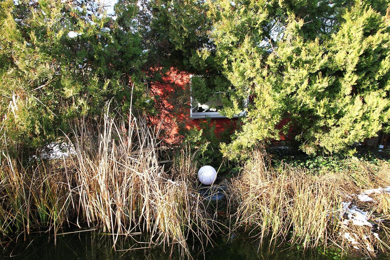 Haus Mit Kunst Zwischen Wald Und See Λειψία Εξωτερικό φωτογραφία